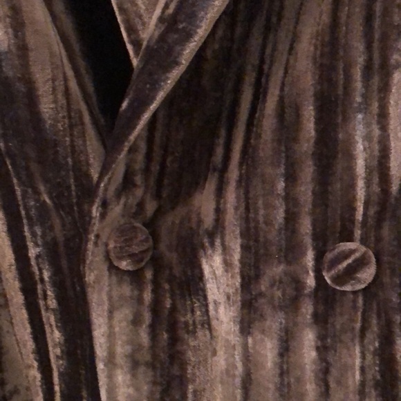Velvet Blazer - Picture 3 of 4